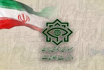  متلاشی شدن شبکه‌ همکار با سرویس اطلاعاتی بیگانه 