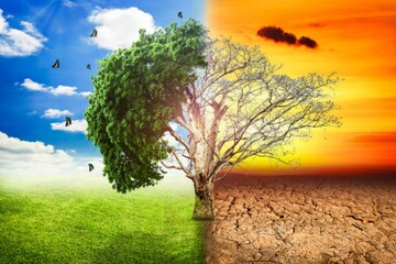  راه‌کار جالب فرانسه برای مقابله با گرمایش