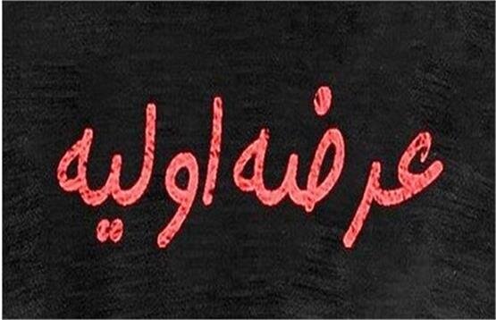  کدام شرکت‌ها در صف عرضه اولیه هستند؟