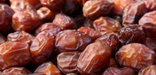 ۳۰ درصد از خرمای ایران صادر می‌شود/موافق افزایش واحد سطح نیستیم