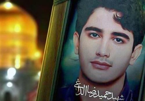 چهل روز از شهادت حمیدرضا الداغی گذشت
