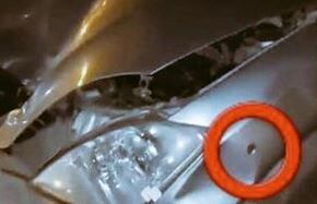 عوض شدن جای شهید و جلاد 