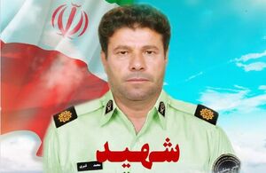 فیلم/ اشک‌های جانسوز دختر شهید "محمد قنبری"