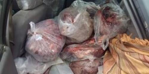  کشف و ضبط  گوشت خوک در میاندورود