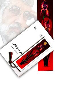 حداد عادل سفیر معنوی هند در ایران است/ رویکرد سیاسی حداد هم بر مبنای ارزش‌های فرهنگی است