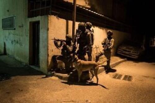 آغاز پاسخ مقاومت در جنین