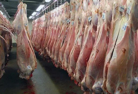 200تن گوشت بعد از یکسال از گمرک ترخیص شد 