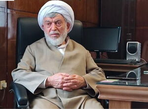  حجت‌الاسلام نیری به آلمان سفر نکرده است