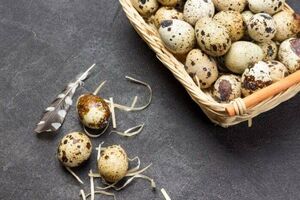 تخم کبوتر زبان کودک را باز می‌کند؟
