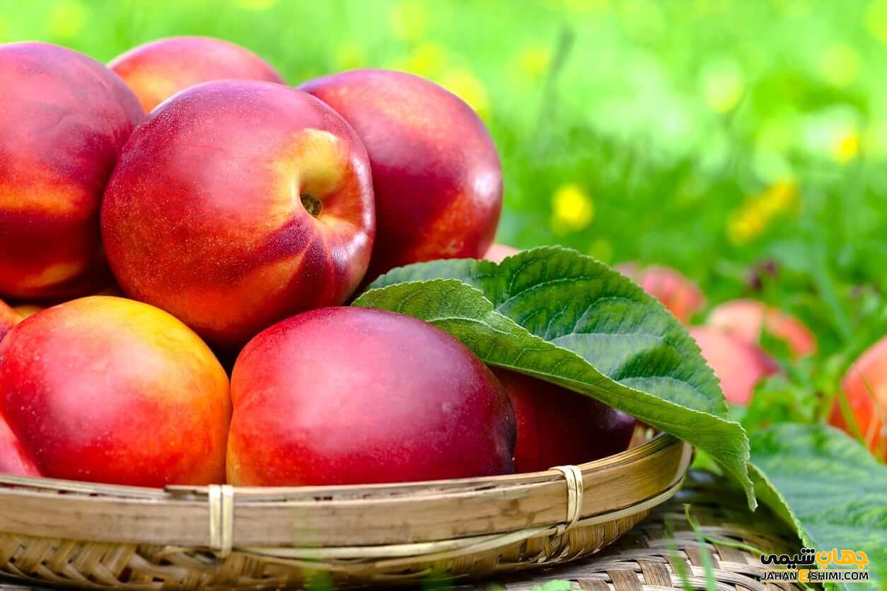خواص شلیل برای سلامتی بدن؛ از طب سنتی تا رژیم لاغری