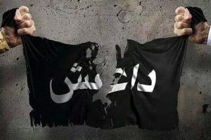 تلاش برای اخراج داعش از شهر الباب 