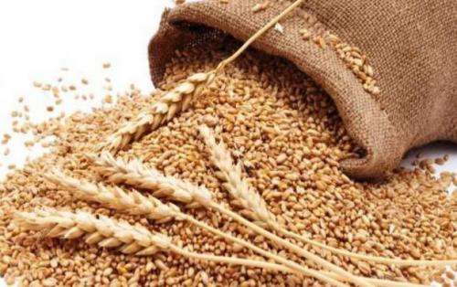 راهکار یک کشاورز برای افزایش رزق