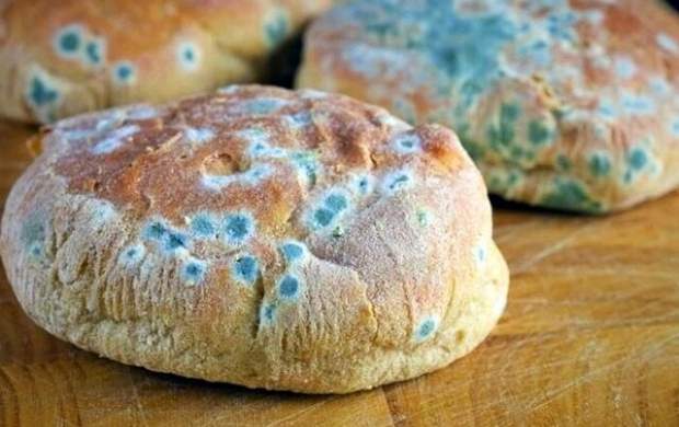 کپک با حرارت از بین می رود یا خیر؟