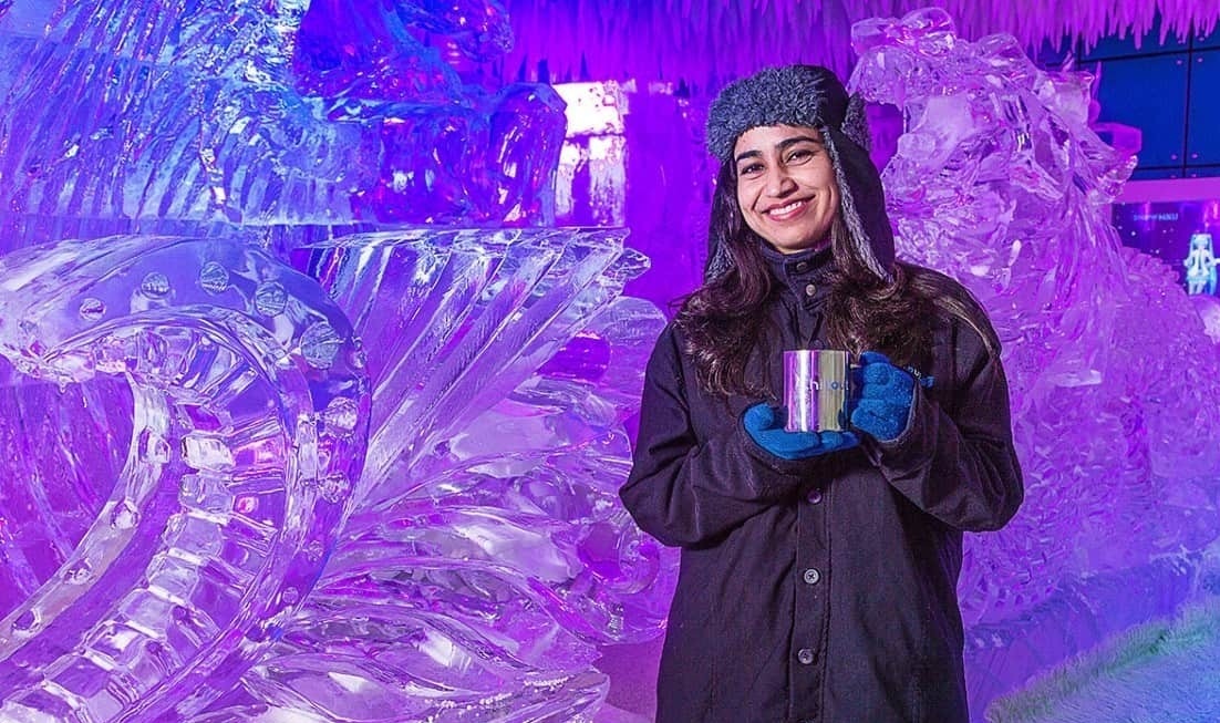 نمایشگاه مجسمه‌های یخی در دبی