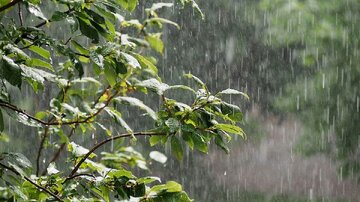 خبر خوب سازمان هواشناسی درباره پاییز امسال