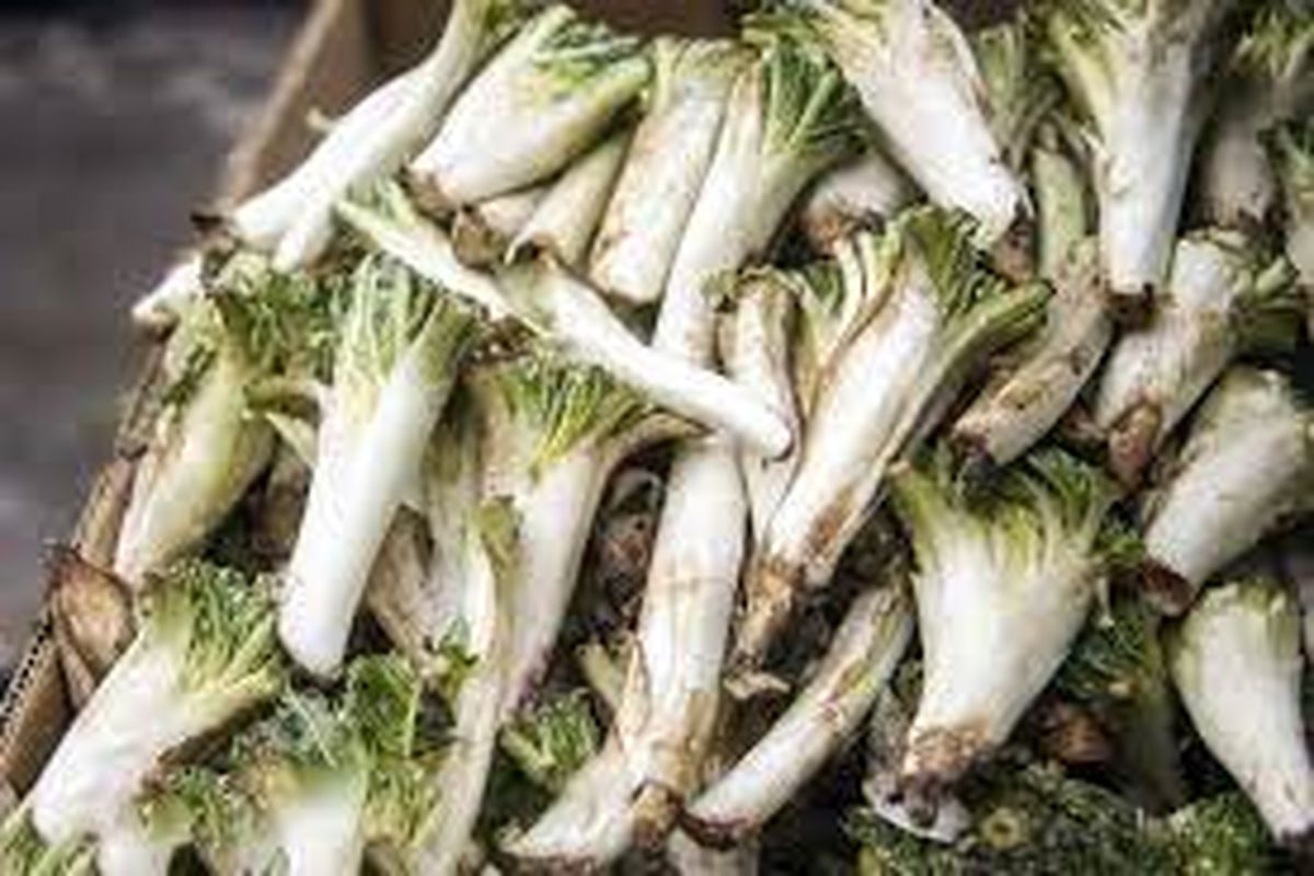  حقایقی جالب درباره یک گیاه وحشی لاغرکننده 