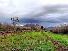 طبیعت بکر روستای کبودان بردسکن+عکس