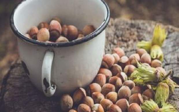 فواید فندق برای سلامتی