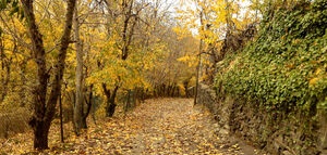  پاییز گیلان روستای پلنگ دره