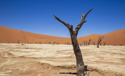 سفر به قدیمی‌ترین صحرای جهان /عکس