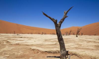 سفر به قدیمی‌ترین صحرای جهان /عکس