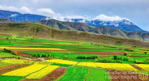 صبح رویایی مه آلود الشتر