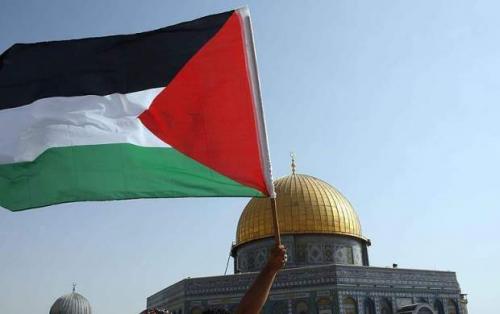 بی‌هوش‌شدن مادر یکی از اسرای فلسطینی+فیلم