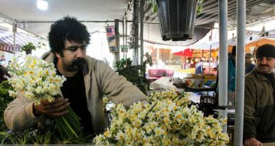 حال و هوای شب یلدا در سراسر کشور+عکس