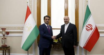 دیدار روسای مجلس تاجیکستان و ایران+عکس