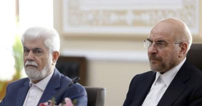 دیدار روسای مجلس تاجیکستان و ایران+عکس