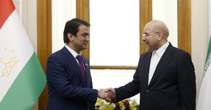 دیدار روسای مجلس تاجیکستان و ایران+عکس