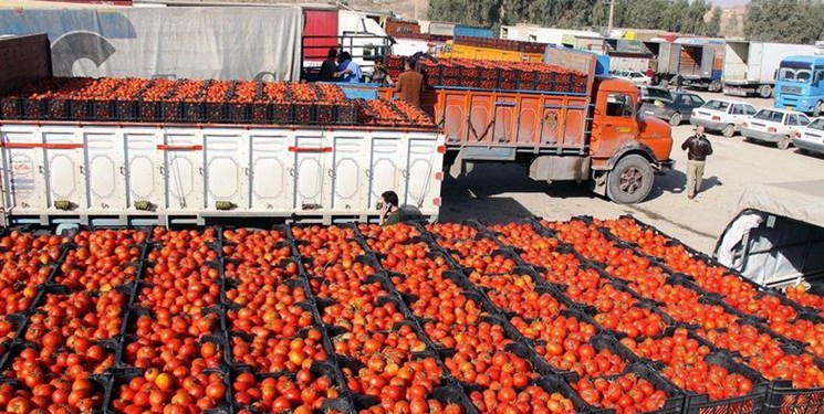 کاهش عوارض صادراتی پیاز و گوجه فرنگی