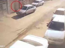 محل اقامت و تردد عوامل تروریستیِ کرمان