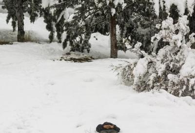  بارش شدید برف در لواسان