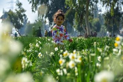 نرگسِ «بِهبهان»