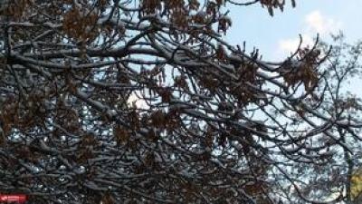 اولین برف زمستانی در همدان 