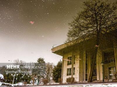 عکس/ موزه گردی در کاخ نیاوران
