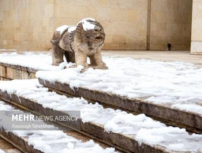 عکس/ موزه گردی در کاخ نیاوران