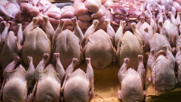 قیمت فیله مرغ در بازار چقدر است؟ 
