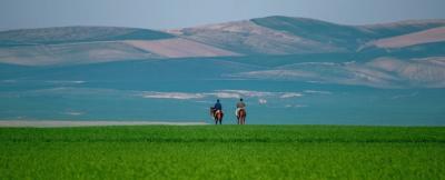 ترکمن صحرا