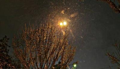 شب زیبای برفی در فردیس