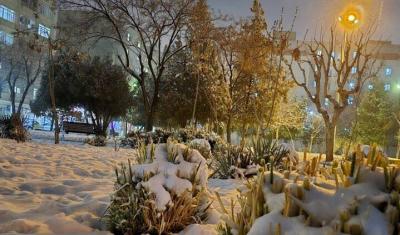 شب زیبای برفی در فردیس