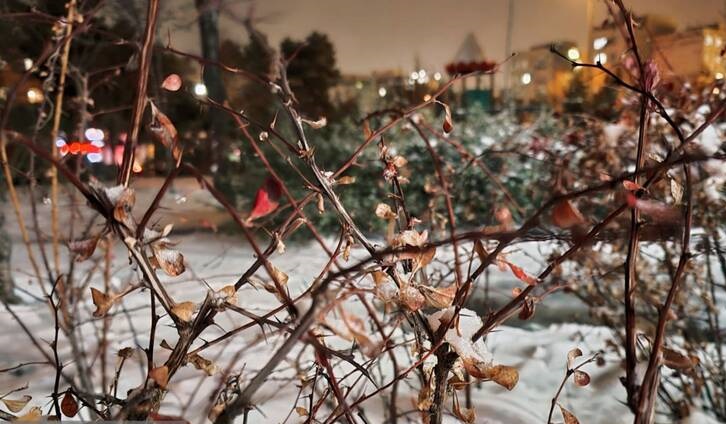 شب زیبای برفی در فردیس