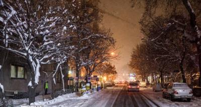 عکس/ بارش برف در شمال تهران