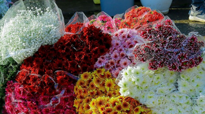 حال و هوای نوروز در بازار گل محلاتی
