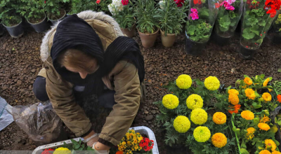  نمایشگاه گل و گیاه در لاهیجان