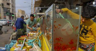 عکس/ بازار "هفت‌سین" در خوزستان