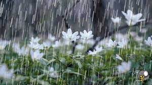 بارش باران و کاهش دمای برخی استانها