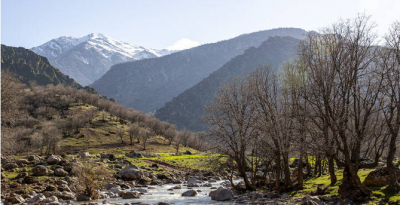 مخمل کوه در گستره زاگرس استان لرستان