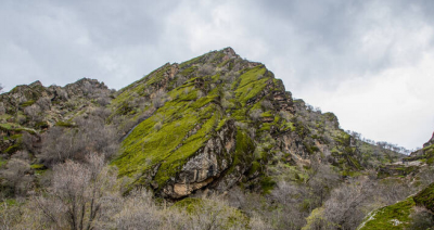 مخمل کوه در گستره زاگرس استان لرستان